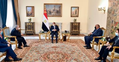 مصر والجزائر تؤكدان استمرار الدعم العربى للرئيس التونسى قيس سعيد