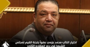 اختيار النائب محمد عزمى عضوا بلجنة القيم لمجلس الشيوخ في دور انعقاده الثاني