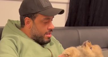 فاهمين لغة بعض.. فيديو طريف لرامى جمال يتحدث مع كلبه