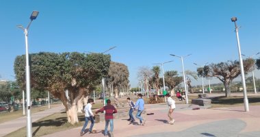 شوف جمال كورنيش النيل بالمنيا بعد أعمال التجميل وقص الأشجار.. فيديو