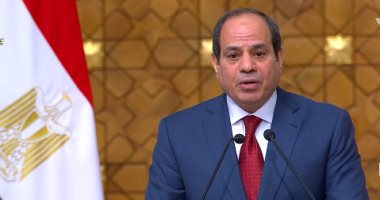 الرئيس السيسى يؤكد أهمية استمرار وتيرة التشاور والتنسيق بين مصر والجزائر  