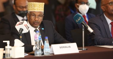 نائب وزير خارجية الصومال يشيد بالدعم الكبير الذى تقدمه مصر لبلاده.. صور