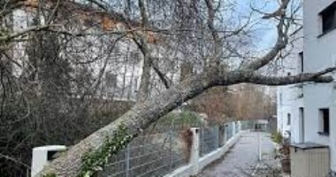 مصرع مسنة في بولندا إثر سقوط شجرة عليها بسبب عاصفة اجتاحت البلاد