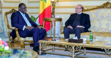 الرئيس السنغالى ماكى سال لرئيس تحرير الأهرام: استضافة مصر مؤتمر المناخ فرصة تاريخية لإفريقيا