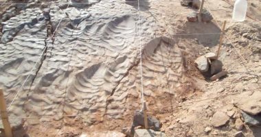 جامعة الوادى الجديد: رصد أول آثار أقدام ديناصورات عمرها 70 مليون سنة بالصحراء الشرقية