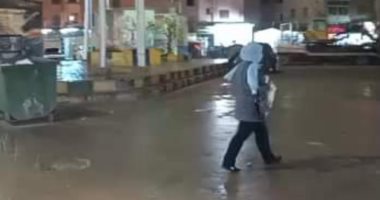 هطول أمطار غزيرة بكفر الشيخ وهبوب رياح شديدة.. فيديو