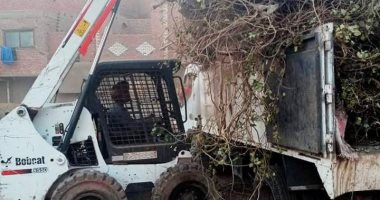 محافظة أسوان: رفع 200 طن من تراكمات المخلفات بإدفو
