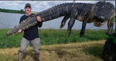 أمريكى يصطاد تمساحا ضخما وزنه 410 كيلو جرامات فى فلوريدا.. صور