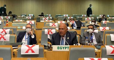 شكرى: مصر تتطلع لدعم جهود كافة الدول الإفريقية فى مواجهة تغير المناخ 