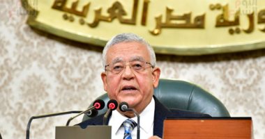 مجلس النواب يوافق نهائيا على مشروع قانون المجلس الصحى المصرى