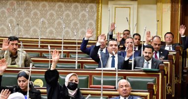 مجلس النواب يوافق مبدئيا على قانون المجلس الصحى المصرى      