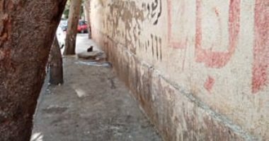 شركة النظافة تستجيب لشكوى تكدس القمامة بشارع شيديا الإبراهيمية فى الإسكندرية