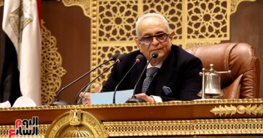 وكيل مجلس الشيوخ يدعو المصريين بالخارج للمشاركة الإيجابية بانتخابات الرئاسة