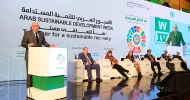 الجامعة العربية تؤكد أهمية الإعلام التنموى ودوره فى تحقيق التنمية المستدامة