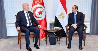 الرئيس السيسى يؤكد الدعم المستمر لإجراءات قيس سعيد لتحقيق استقرار تونس