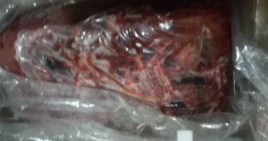 ضبط كمية من اللحوم والكبدة المجمدة مجهولة المصدر في كفر الشيخ.. صور