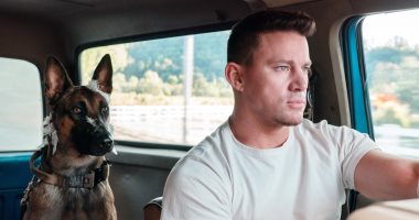 فيلم Dog يحقق 40 مليون دولار بـ شباك التذاكر العالمى
