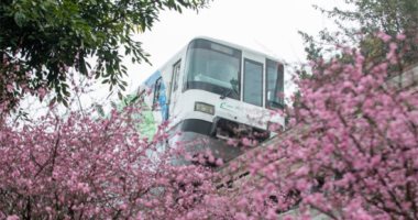 قطار فى بستان الزهور.. سكك حديد الصين لوحة فنية للطبيعة الساحرة