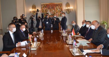 وزير الخارجية يبحث مع نظيره المجرى استمرار تنسيق مواجهة التحديات الدولية المتنامية