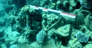 السعودية: اكتشاف حطام سفينة غارقة ومئات القطع الأثرية تعود للقرن الـ18