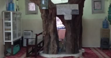الشجرة الساجدة.. عمرها 100 سنة تخترق سقف مسجد وعمرها ما اترويت "فتحى شو"