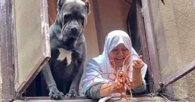 أوصت على كلبتها قبل وفاتها.. وامتنعت الأخيرة عن الطعام ودموعها لا تتوقف..فيديو 