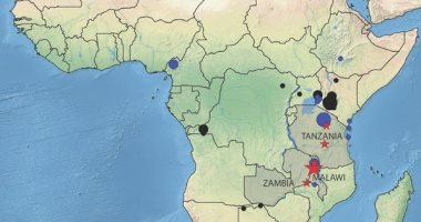 الحمض النووى القديم يكشف تاريخ التغيرات الاجتماعية فى أفريقيا قبل 50 ألف عام
