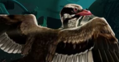 عاش منذ 120 مليون عام.. قصة طائر غريب بـ"ذقن متحرك" (فيديو)