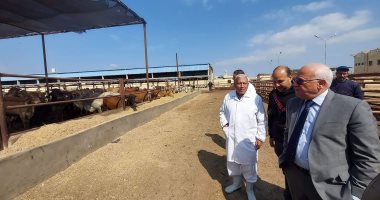 محافظ بورسعيد: محطة تسمين الماشية تحقق أعلى معدل نمو فى تربية وإنتاج اللحوم