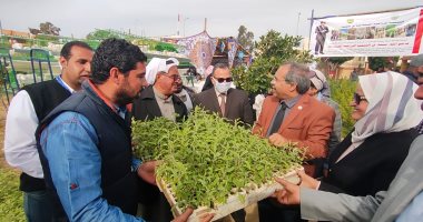بدء توزيع دواجن وأغنام وشتلات زيتون ولوز على مزارعين بالشيخ زويد فى شمال سيناء.. فيديو