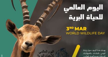 مصر تشارك العالم الاحتفال باليوم العالمى للحياة البرية على مواقع التواصل