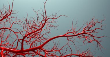 جعل غير المرئي مرئيا .. تقنية تصوير تظهر الأوعية الدموية بشكل لم يسبق له مثيل