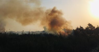 حريق هائل داخل أرض زراعية بالإسماعيلية.. وألسنة النيران والأدخنة تتصاعد.. فيديو