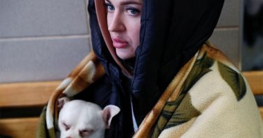 الصديق الوفى.. الأوكرانيون يحملون كلابهم فى رحلات البحث عن الأمان