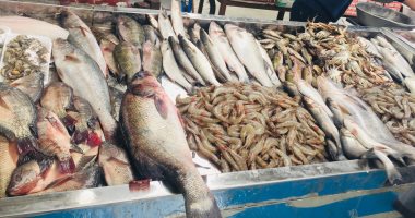 افتتاح سوق الأسماك المطور بالإسماعيلية بعد نقل الباعة من القديم.. لايف وصور