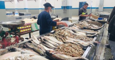 أسعار الأسماك فى الأسواق اليوم تسجل استقرارا ملحوظا والبلطى بـ73 جنيها