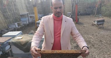 تفاصيل ومراحل جمع عسل النحل من قرية الشفاء الأشهر بالغربية.. لايف وصور