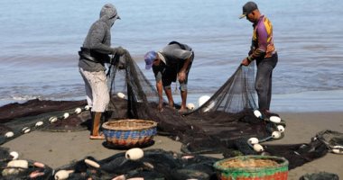 الصيد بلا قوارب.. فعاليات موسم صيد الأسماك التقليدى بإندونيسيا
