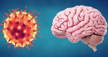  كيف يمكن لفيروس كورونا أن يؤثر على المخ؟