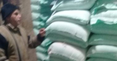 "تموين الاسكندرية" تضبط 2 طن ملح وأرز مجهولة المصدر وطن دقيق بدون مستندات