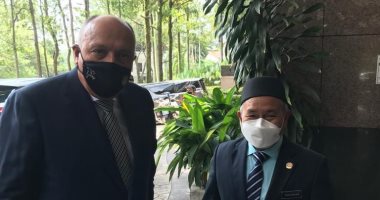 وزير الخارجية يبحث مع وزير البيئة والمياه الماليزى الاستعداد لـ"Cop 27"