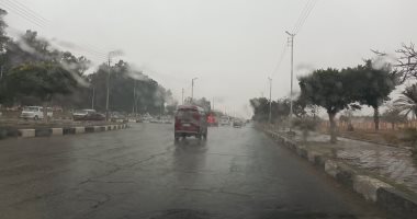 اللهم صيبًا نافعًا.. أمطار غزيرة تضرب الإسماعيلية الآن.. لايف وصور