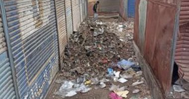 قارئ يناشد رفع القمامة من محيط شارع السيد البدوى بطنطا.. ورئيس الحى يرد