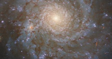 هابل يلتقط مجرة ​​حلزونية أنيقة على بعد 60 مليون سنة ضوئية