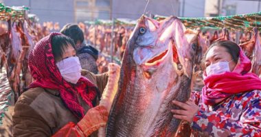 موسم حصاد الأسماك.. تجفيف المأكولات البحرية فى الصين ثقافة تراثية عمرها آلاف السنين