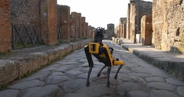 تستخدم إيطاليا كلبًا آليًا للقيام بدوريات على أنقاض مدينة بومبي