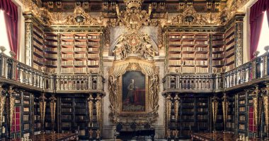 الخفافيش تحافظ على كتب ومخطوطات نادرة في مكتبة برتغالية.. اعرف السر