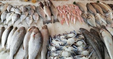 الأسماك والبحريات أشكال وألوان فى سوق الأسماك ببورسعيد