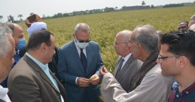 محافظ القليوبية لمزارعى القمح بالمحافظة: صرف المستحقات خلال 48 ساعة
