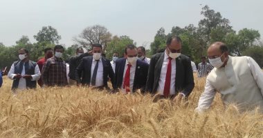 وزارة الزراعة تعلن اعتماد الهند منشأ جديدًا لاستيراد القمح.. صور